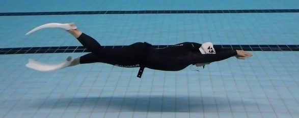 Probetraining