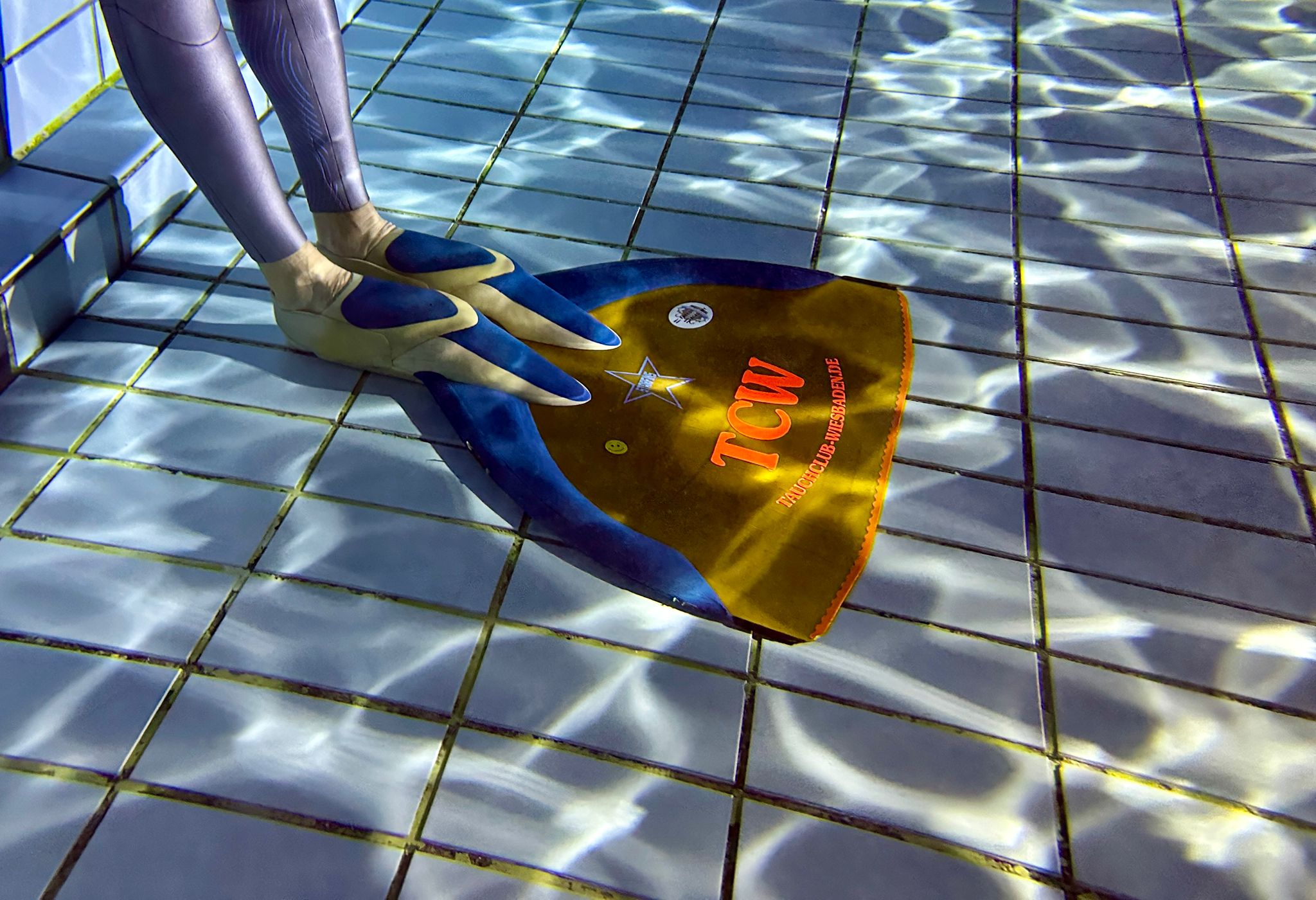 Mitglieder des Tauchclub Wiesbaden unter Wasser